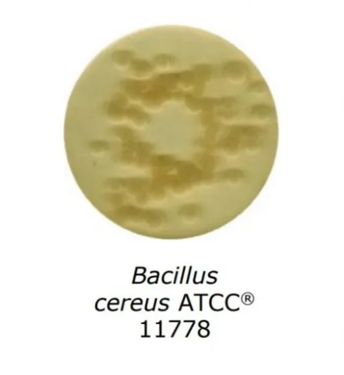 Gélose PCA (Plate Count Agar) 500G MERCK