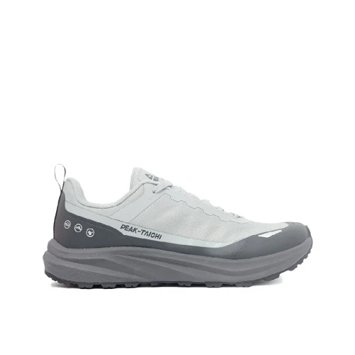 BASKET RUNNING PEAK TAICHI SPORT HOMME GRIS