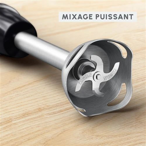 BRAS MIXEUR MOULINEX 1000W  DD673810