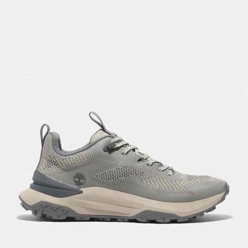 Timberland Baskets basses à lacets Motion Access pour homme en gris/beige