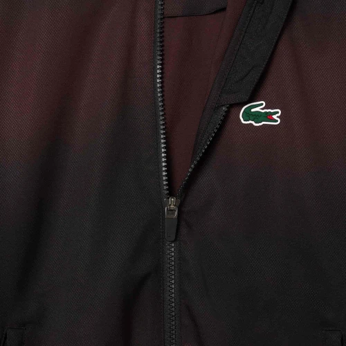 Survêtement Lacoste Tennis x Daniil Medvedev