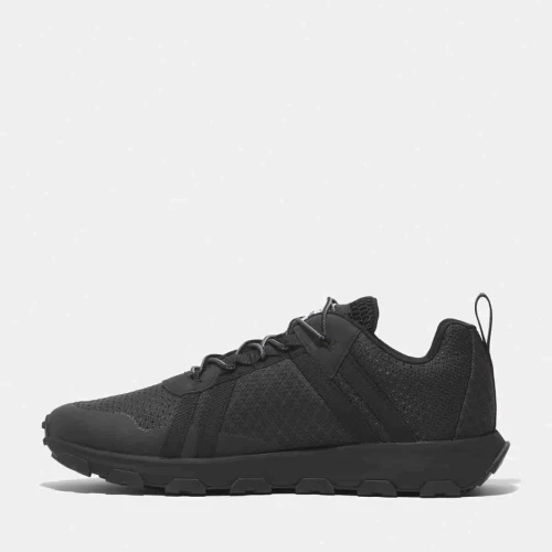 Timberland Basket basse imperméable à lacets Winsor pour homme en noir