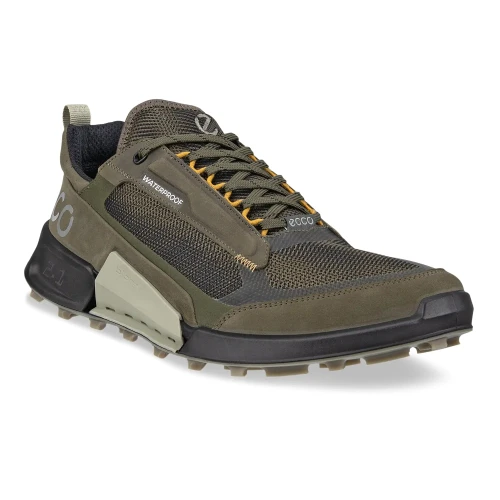 Ecco - Biom 2.1 X Mountain M Grape Leaf / Tarmac / Black