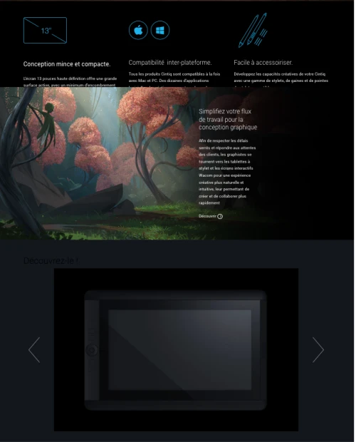 Wacom Cintiq 13HD (DTK-1300) tablette graphique PC / Mac