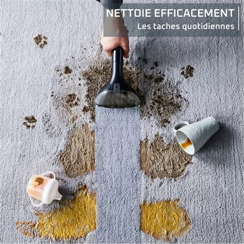 ASPIRATEUR ROWANTA CLEAN IT IN5011F0