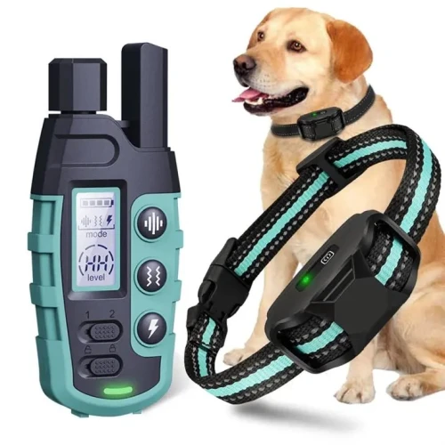Collier de dressage à distance RS2 pour 1 à 2 chiens 1 000 m