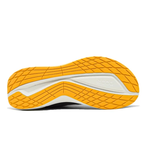 Ecco - Biom 2.2 M Wild Dove