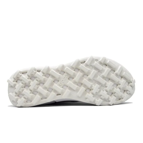 Ecco - Biom 2.1 X Mountain M Black