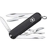 Râpe Victorinox 7.6084.9 à lames moyennes bidirectionnelles, idéale pour râper du chocolat, du fromage à pâte dure et des carottes, couleur orange, 26,2 cm (10,3 pouces)