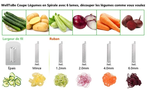 Coupe-légumes Spirale végétale Spiraliseur WellToBe CS-668  6 lames Courgette Pâtes et nouilles Spaghetti Spiralizer améliorée Spiraliser Spiral Slicer Maker