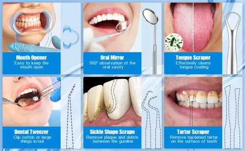 Kit de nettoyage des dents HassoKon pour adultes, électriques avec lumière LED, 4 modes réglables, 3 têtes remplaçables, nettoyeur de dents rechargeable et étanche