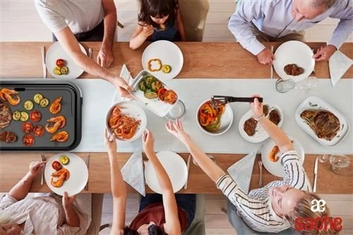 PLANCHA TEFAL GIANT REVÊTEMENT ANTIADHÉSIF 2300W CB631D10