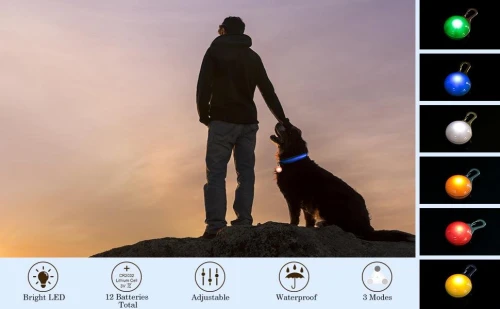 Collier lumineux LED pour chien (lot de 6) AJOXEL, lampe de sécurité LED pour animaux de compagnie, 3 modes de clignotement pour l'obscurité, 6 lumières et 6 piles de rechange
