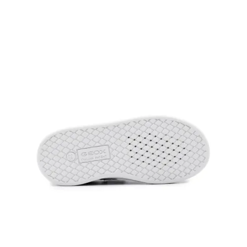 Geox - B Eclyper A – Prn Geobuck+Gbk
