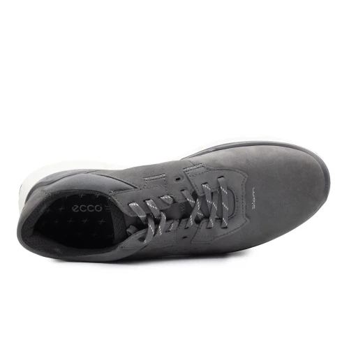 Ecco - Ecco Biom 2.2 M Magnet