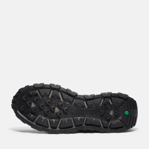 Timberland Baskets WINSOR TRAIL