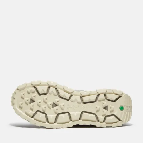 Timberland Baskets WINSOR TRAIL