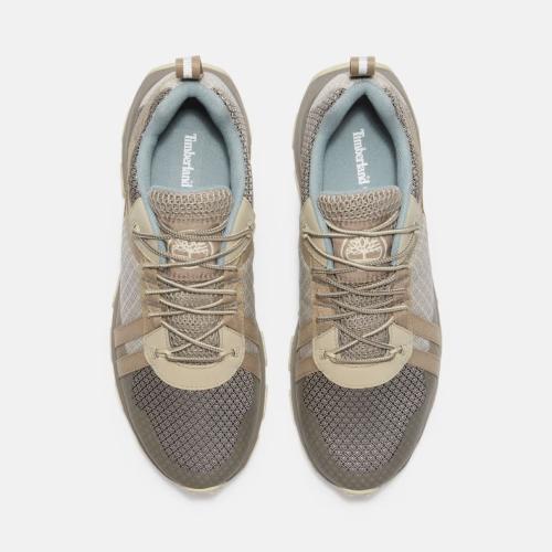 Timberland Baskets WINSOR TRAIL