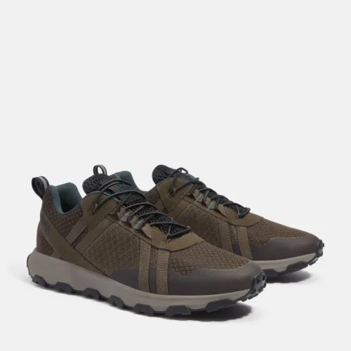 Timberland Baskets WINSOR TRAIL