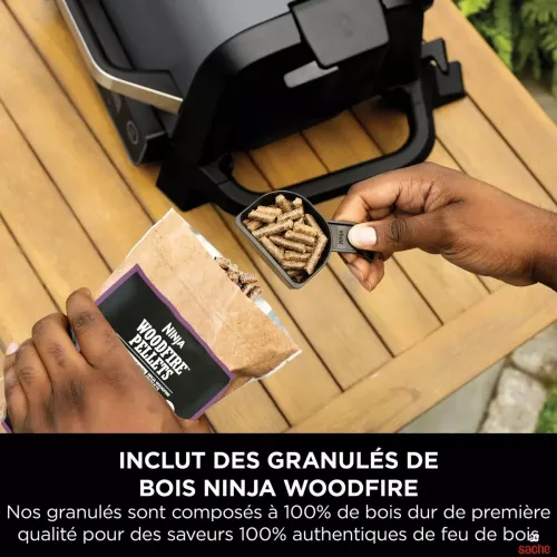 BARBECUE GRILLE NINJA AIR FRYER OG701EU