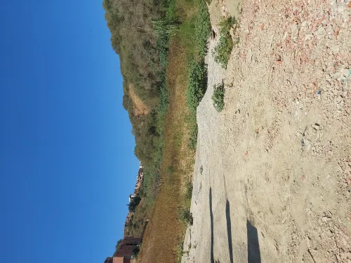 Vente Terrain Alger Draria