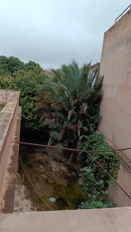 Vente Villa Tlemcen Tlemcen