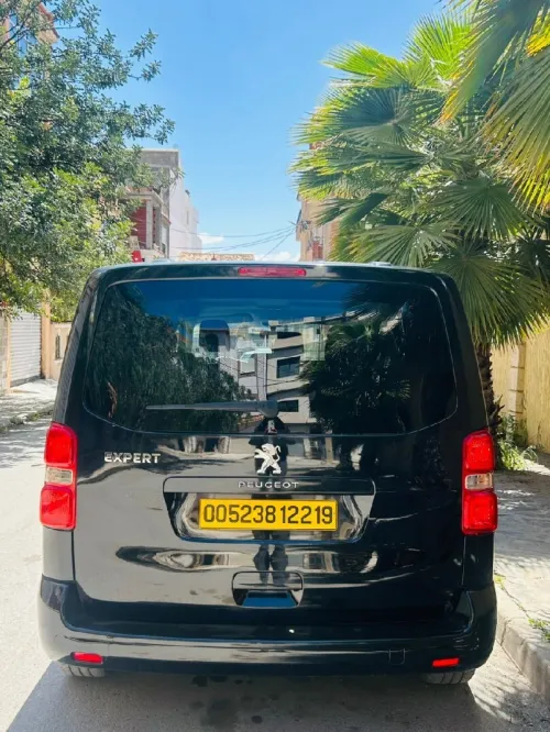 Peugeot Expert 2022 Expert