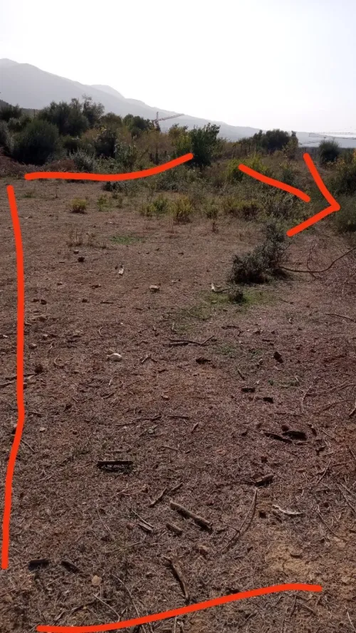 Vente Terrain Blida Blida