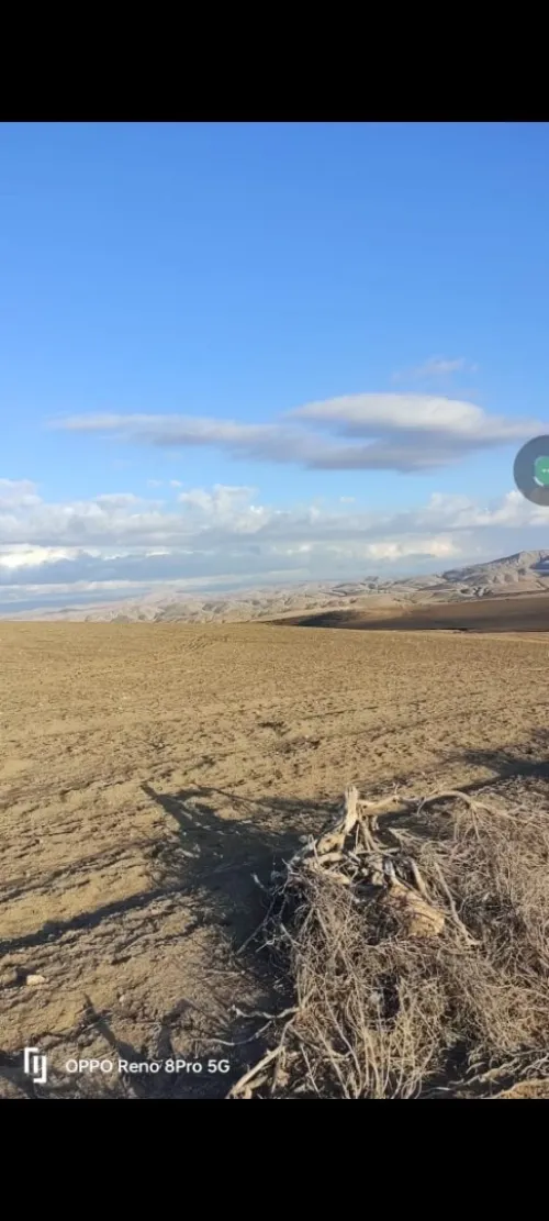 Vente Terrain Relizane Ain rahma