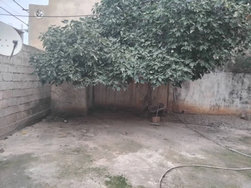 Vente Local Aïn Defla Rouina