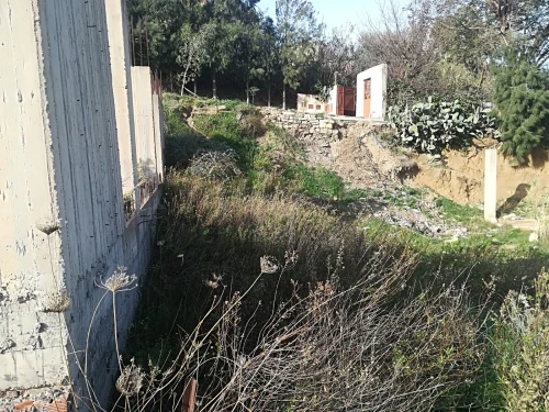 Vente Terrain Blida Bouarfa