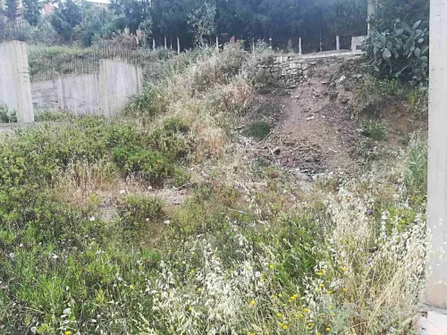 Vente Terrain Blida Bouarfa