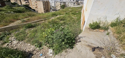Vente Appartement F4 Skikda Skikda
