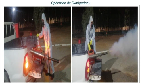 nettoyage, désinsectisation, dératisation, lutte anti nuisible(fourmis, cafards, souris, rats , punaise de lit, puces mouches,scorpions serpents, chiens errants.....)  