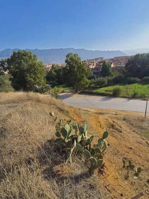 Vente Terrain Béjaïa Ouzellaguen