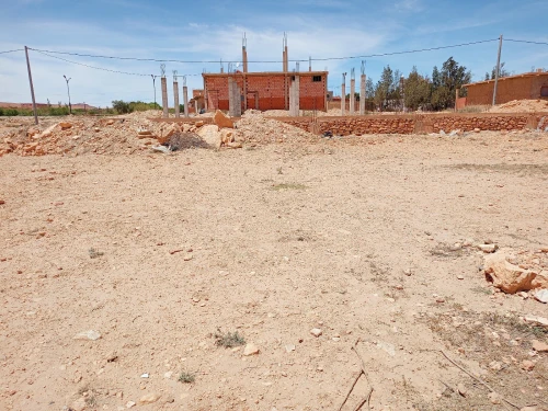 Vente Terrain Tiaret Serghine