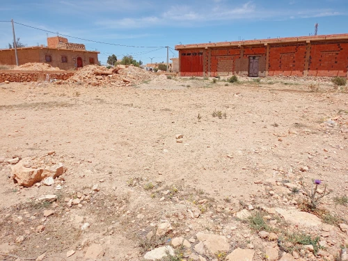 Vente Terrain Tiaret Serghine