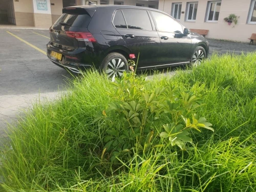 Volkswagen Golf 8 2023 Move