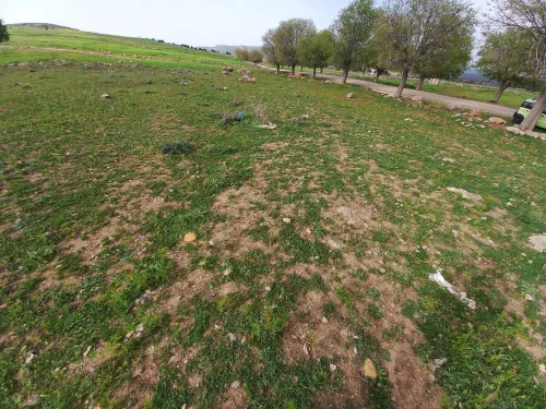 Vente Terrain Tlemcen Tirni beni hediel