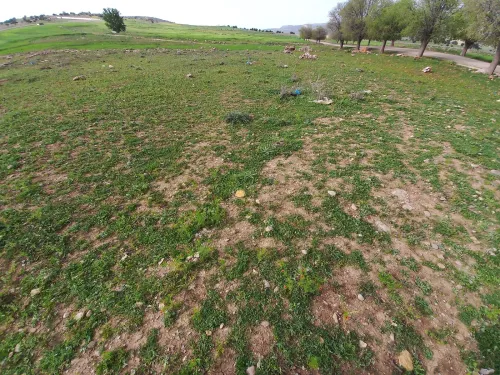 Vente Terrain Tlemcen Tirni beni hediel