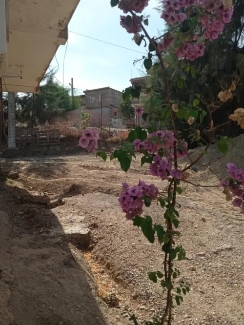 Vente Villa Blida Ain romana