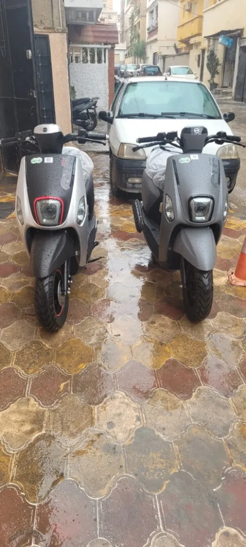 Vms Coxi 2 2025