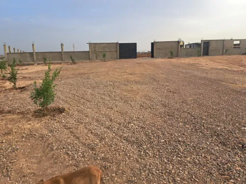 Location Oran Bethioua