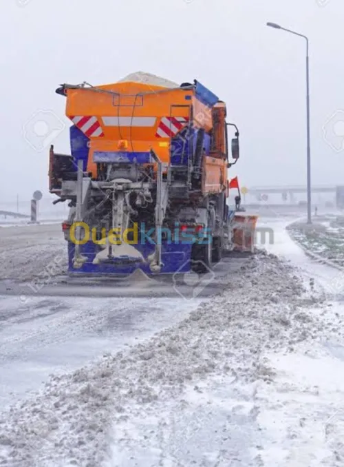 Sel de déneigement 