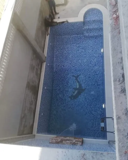 Construire des piscines de la plus haute qualité à prix réduits