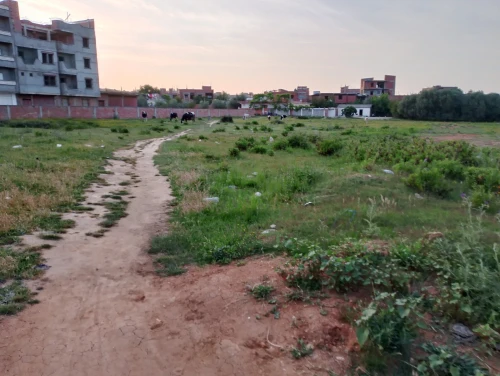 Vente Terrain Jijel Emir abdelkader
