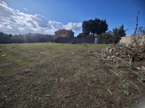 Vente Terrain Boumerdès Zemmouri