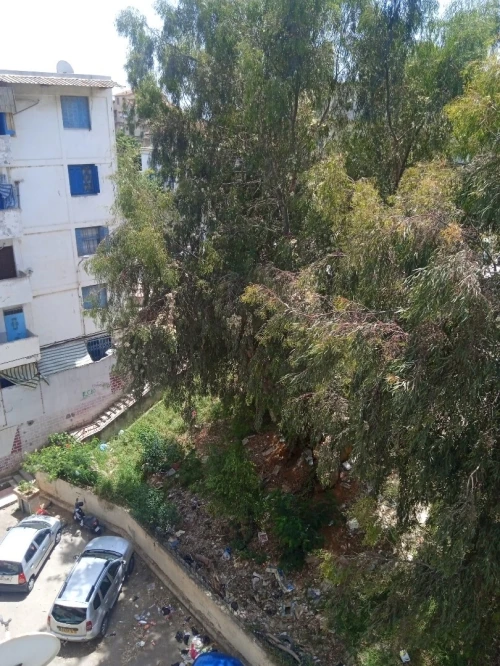 Vente Appartement F3 Alger Kouba