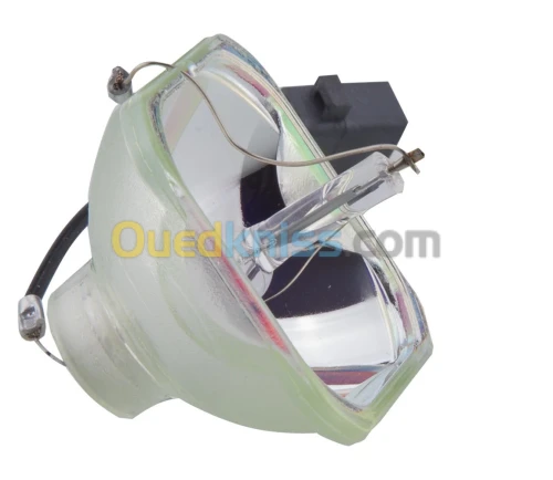 lampe datashow (VideoProjecteur) toutes les modéles EPSON ACER NEC BENQ OPTOMA... data show