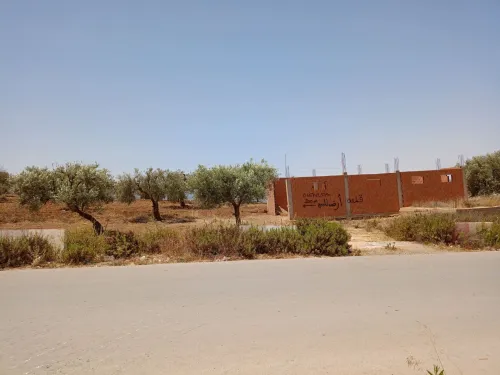 Vente Terrain Tlemcen Ain fezza